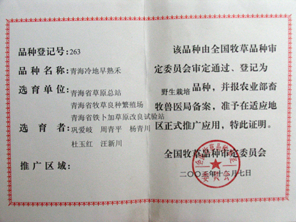 冷地早熟禾证书