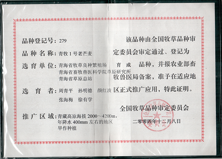 青牧1号老芒麦品种证书