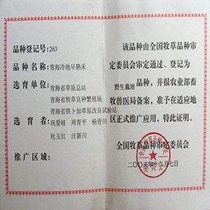 冷地早熟禾证书