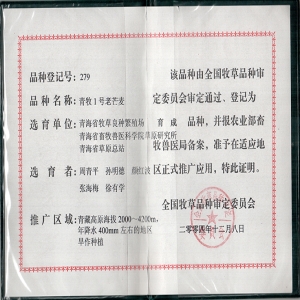 青牧1号老芒麦品种证书