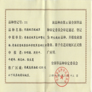 同德短芒披碱草品种证书