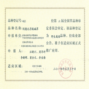 同德无芒披碱草证书