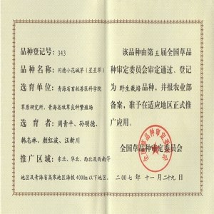 同德小花碱茅品种证书