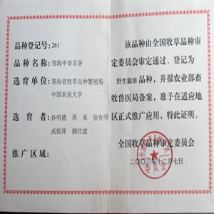 中华羊茅证书